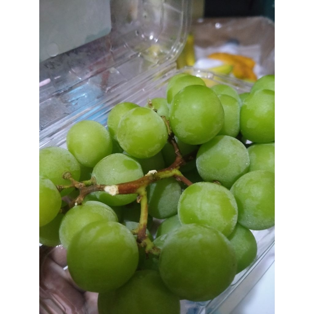 

anggur hijau muscat pack 500gr