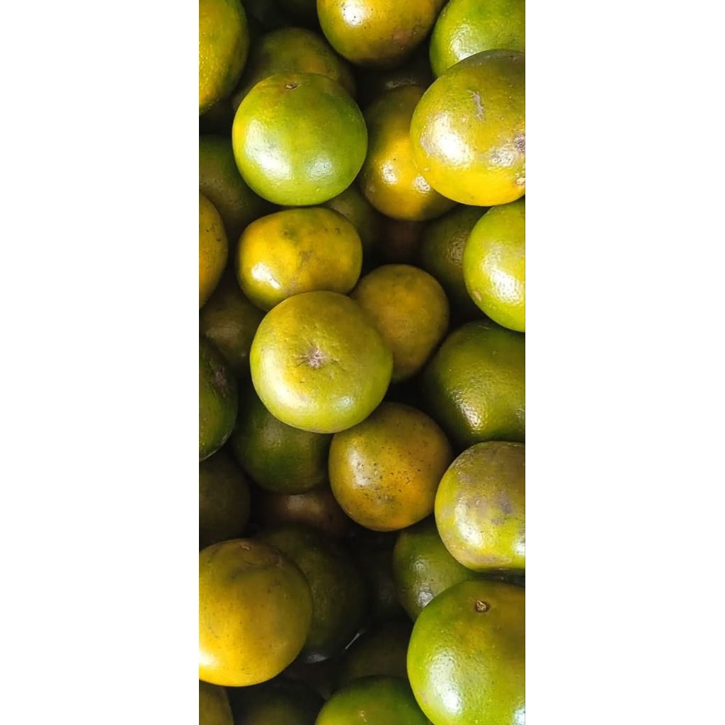 

Jeruk Manis Siem Jember 500g