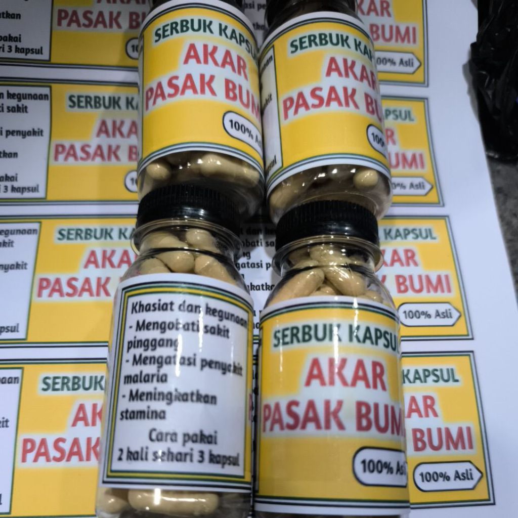 

kapsul pasak bumi asli kalimantan