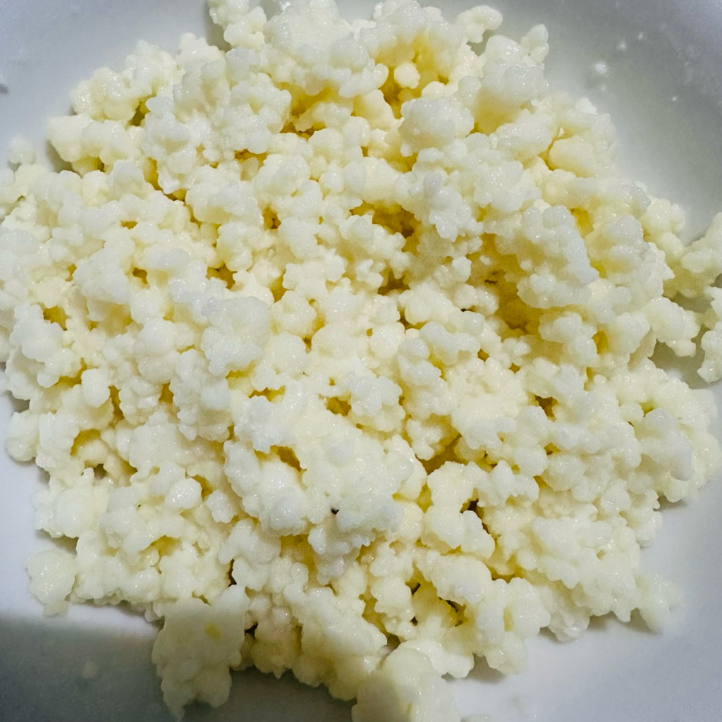 

Bibit Kefir Grains Hidup Bisa digunakan selamanya