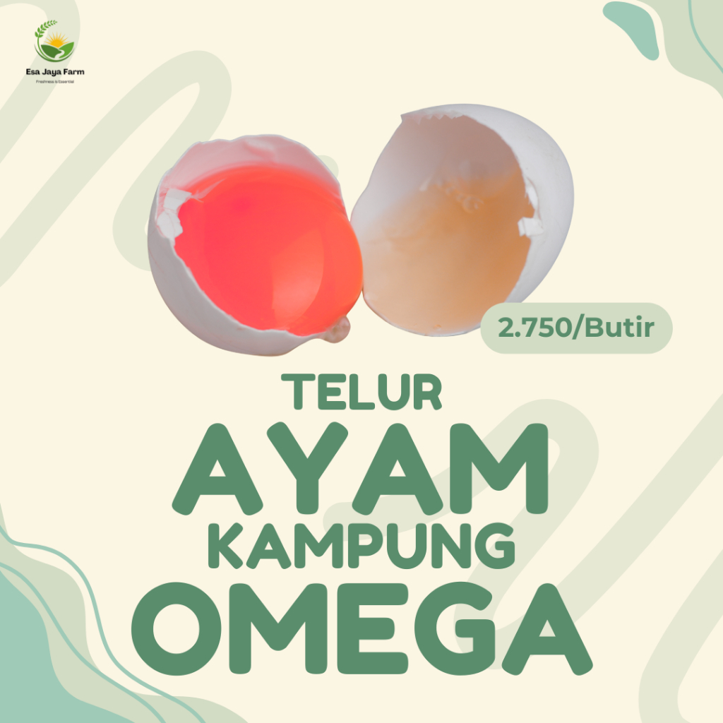 

Telur Ayam Kampung Omega-3 Asli