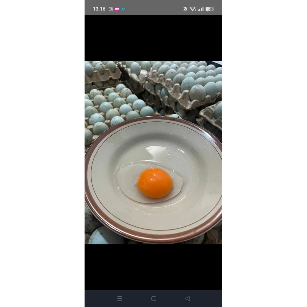 

TELUR BEBEK MENTAH PANGON FRESH MURAH UKURAN BESAR