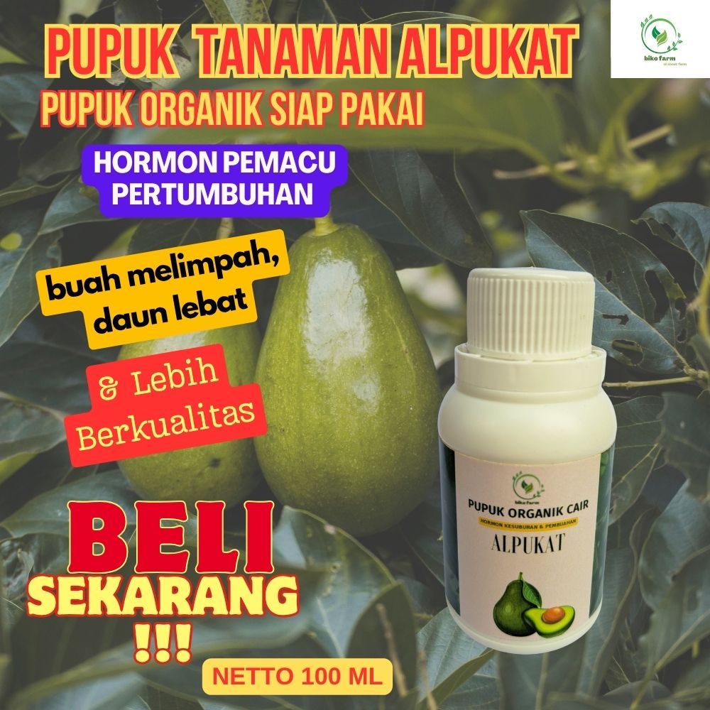 Pupuk Organik Cair Pelebat Buah Alpukat. Pupuk Pembesar Buah Alpukat. Penyubur Tanaman Alpukat