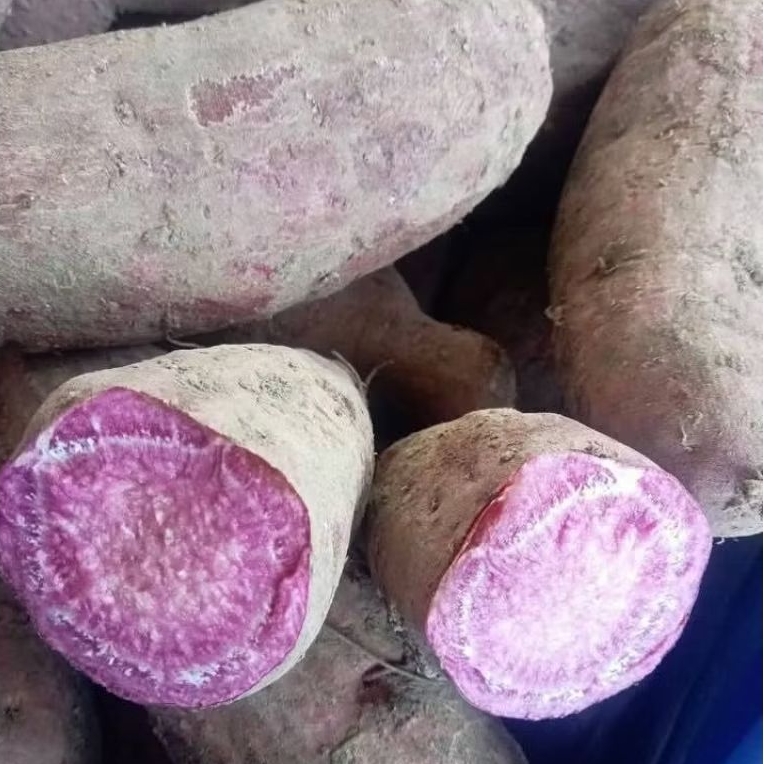 

Ubi jalar ungu 1kg langsung dari petani