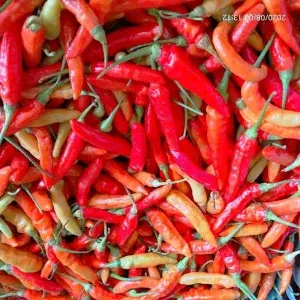 

Cabe Rawit Merah 100g