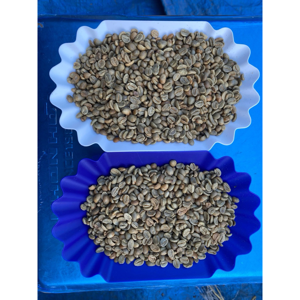 

green bean natural arabica sungai penuh kerinci