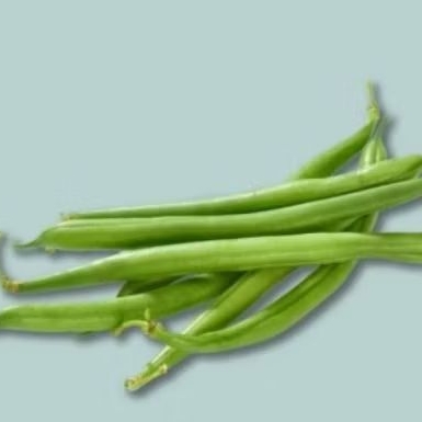 

sayur buncis 1000gram