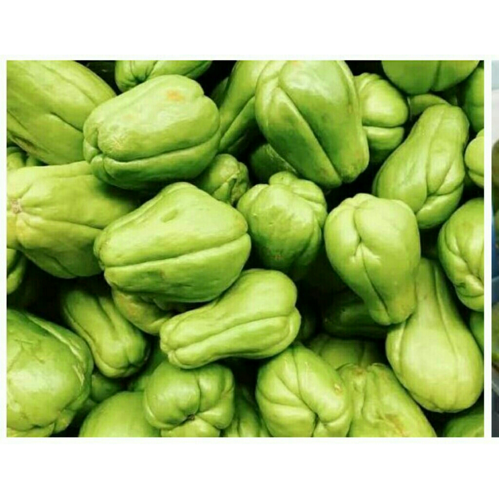 

sayuran/buahlabusiem.untukmasakan