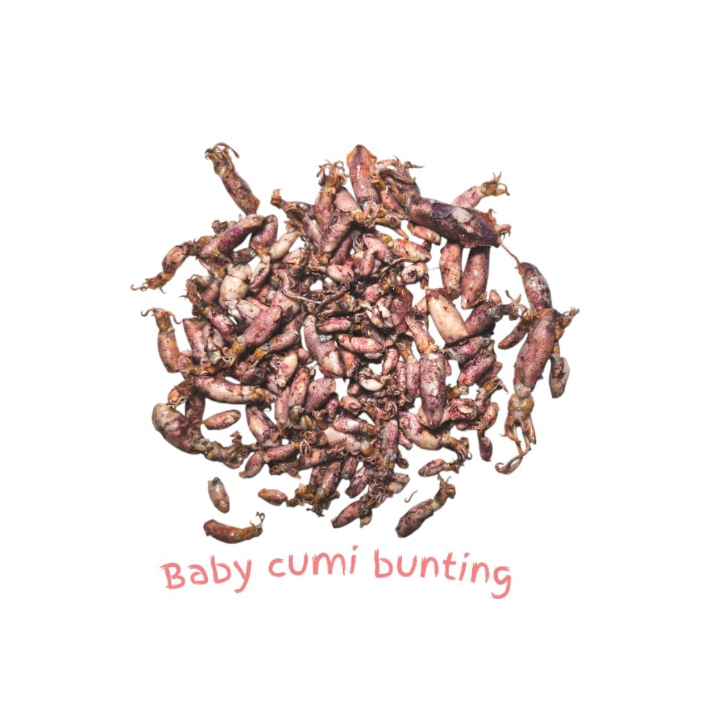 

CUMI BUNTING REBUS