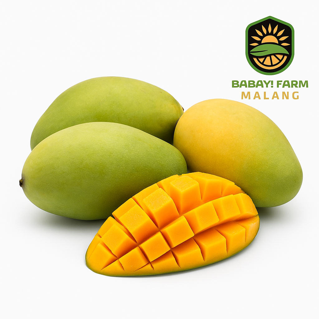 

Buah Mangga Harum Manis lokal 1 kg