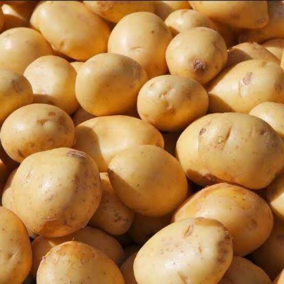 

kentang asli dieng fres 1kg kentang super