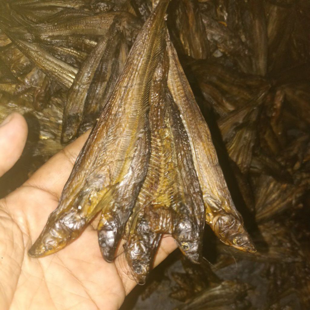 

ikan asap lais kecil