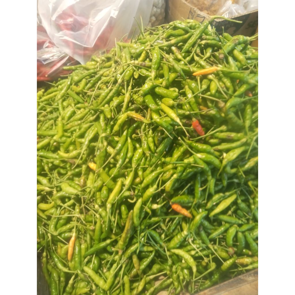 

Cabe Rawit Hijau Fress 1/2 kg 500gram Pilihan Premium