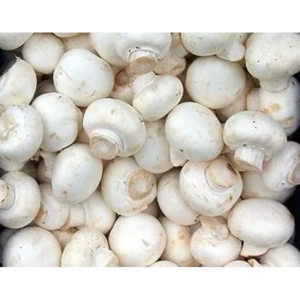 

Grosir 100 gram Jamur Kancing Jamur Champignon Segar Murah
