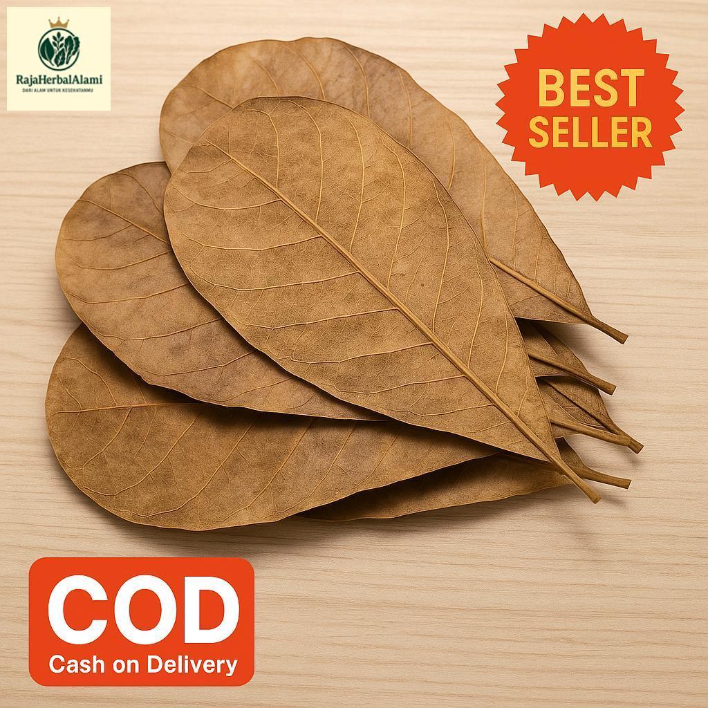 

Daun Mete Kering Murah Per 1 Lembar Siap Olah COD