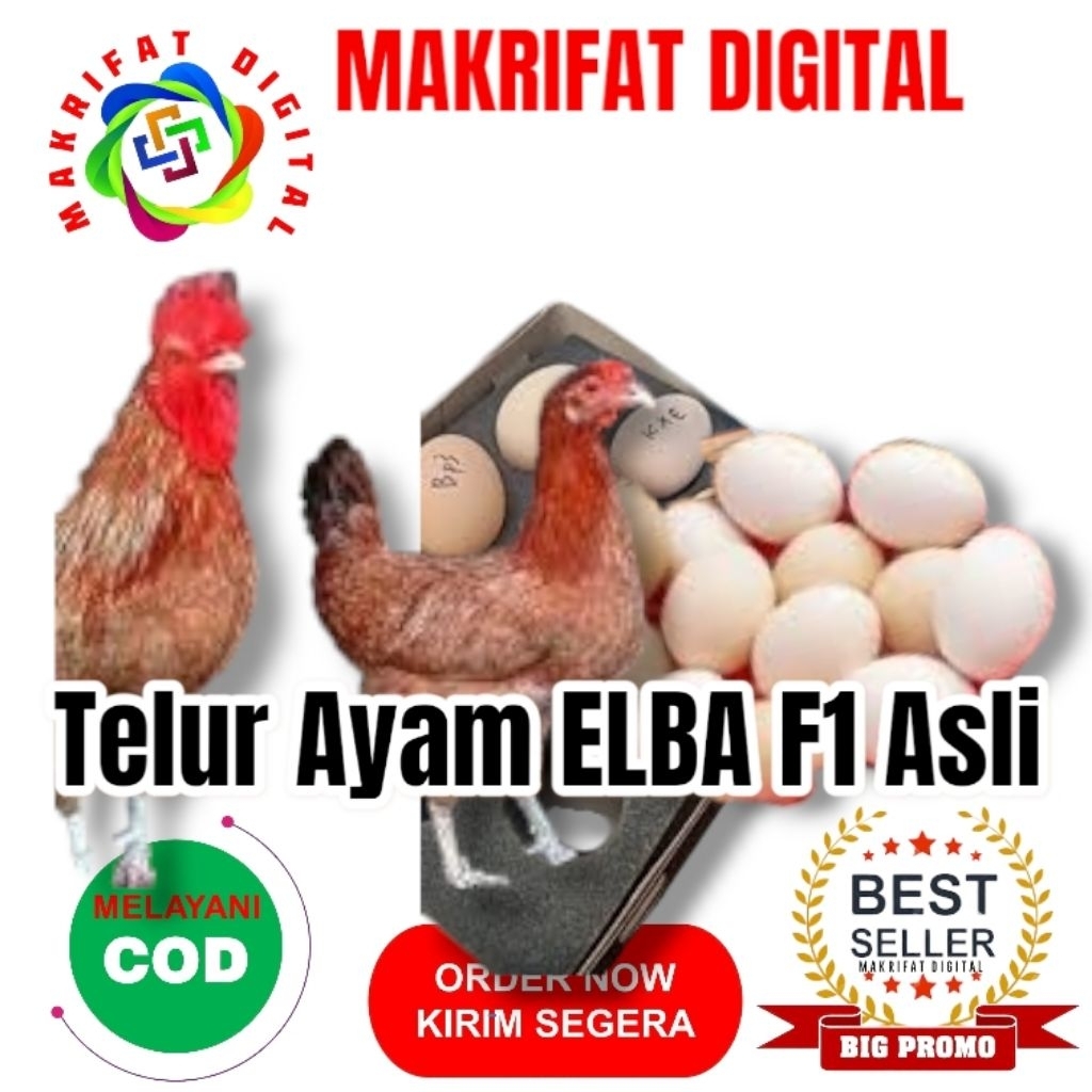 

MAKRIFAT DIGITAL Paket 25 Pcs Telur FERTIL Ayam ELBA F1 ASLI Untuk Ditetaskan Produksi Farm Profesional Mitra Makrifat Digital