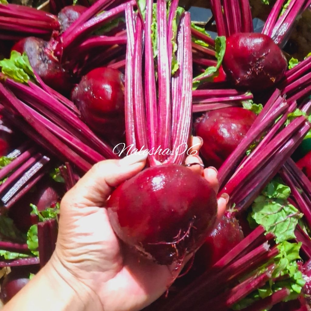 

Buah Bit/Beet Root Kualitas Super Fresh 1Kg
