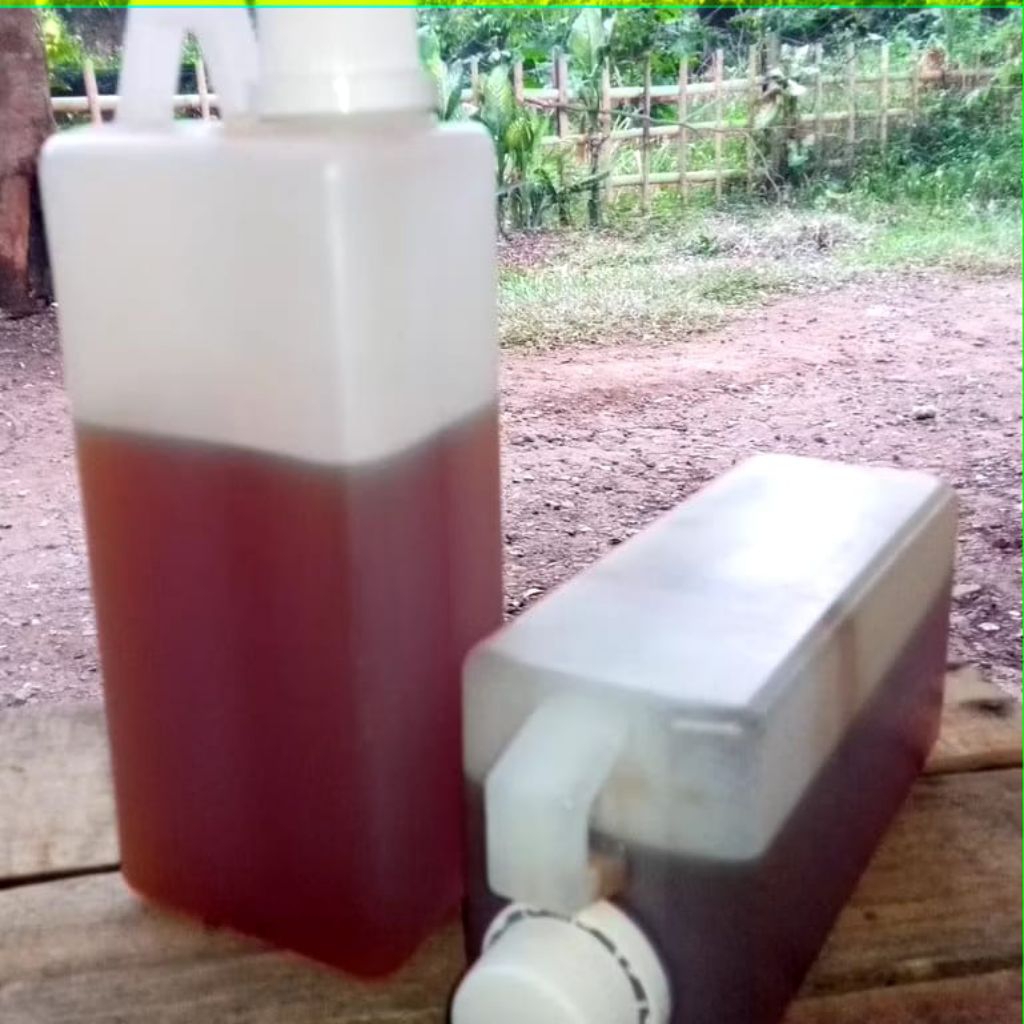 

Madu Kalimantan Curah 1Kg