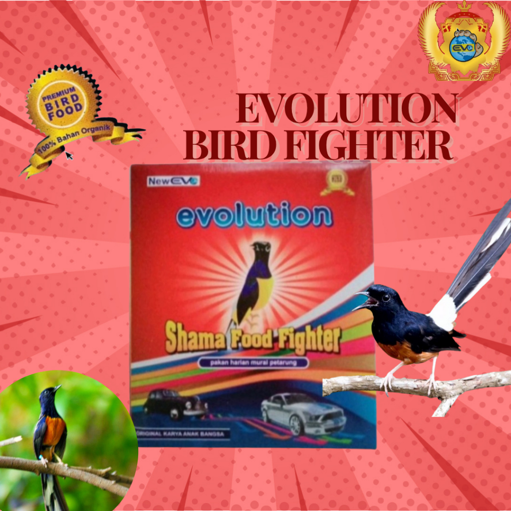 VOER FIGHTER | MURAI BATU | EVOLUTION