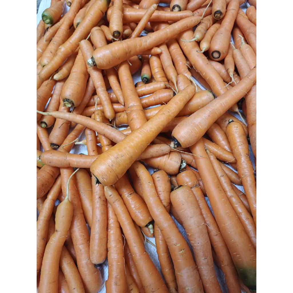 

Sayuran wortel lokal fresh 1 kg / wortel untuk sayur