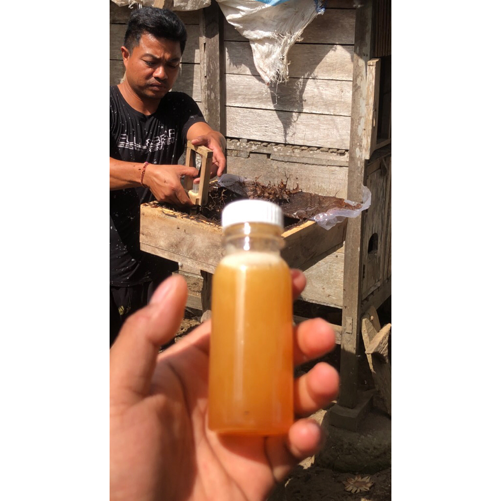 

MADU KELE ASLI 100mili