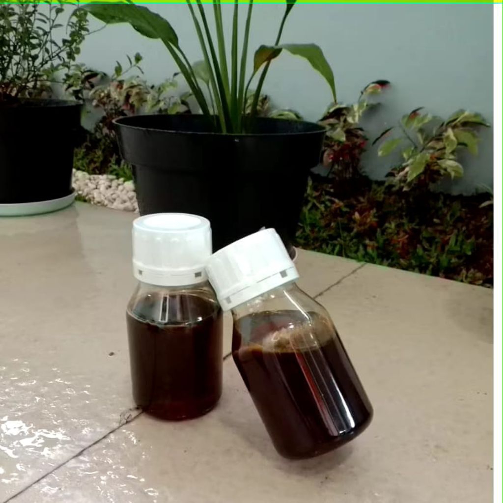 

Madu Sialang Premium Curah 300 Gram