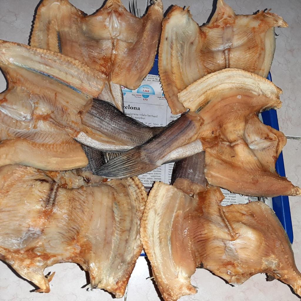 

IKAN GABUS Asin Super 250 Gr Kualitas Terbaik