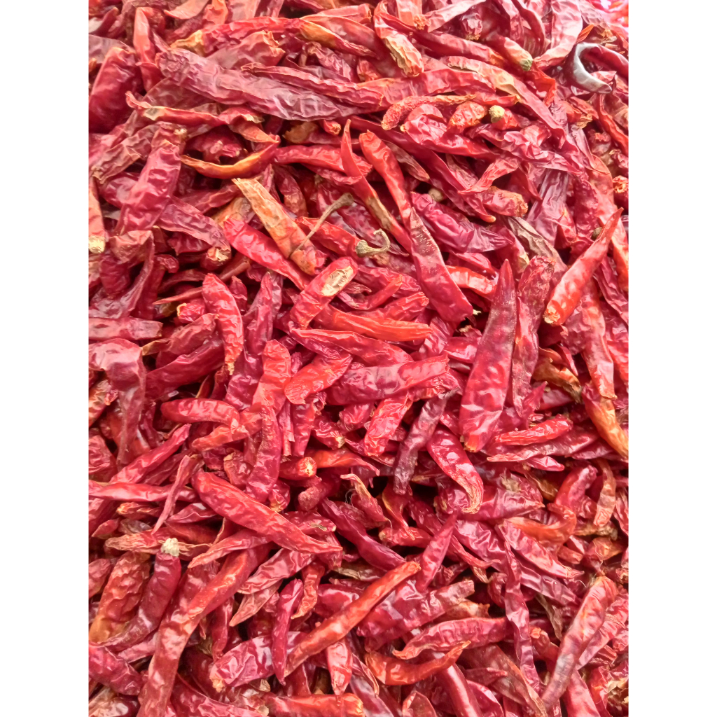

Cabe kering rawit super teja grade A premium Super pedas