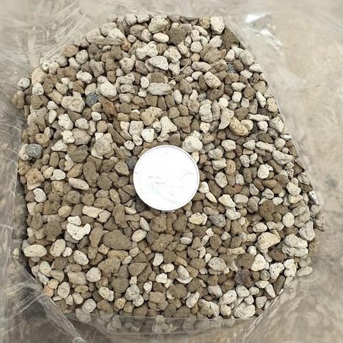 Batu Apung Media Tanam Untuk Tanaman Hias Kaktus Sukulen Pumice