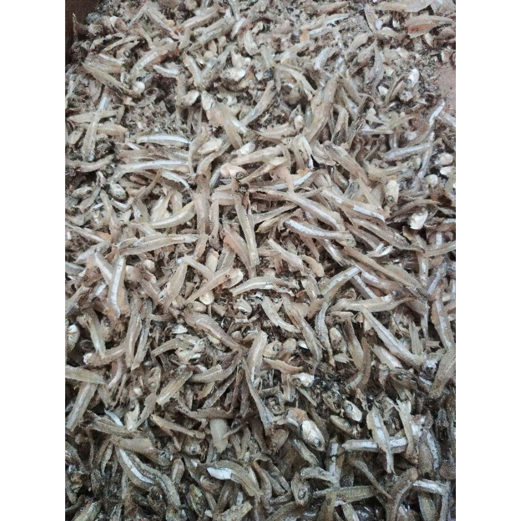

TERI BELAH TANJUNG BALAI ASLI 100%