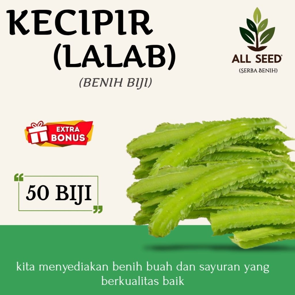 ( 50 BIJI ) Benih kecipir | bibit biji kecipir lalap