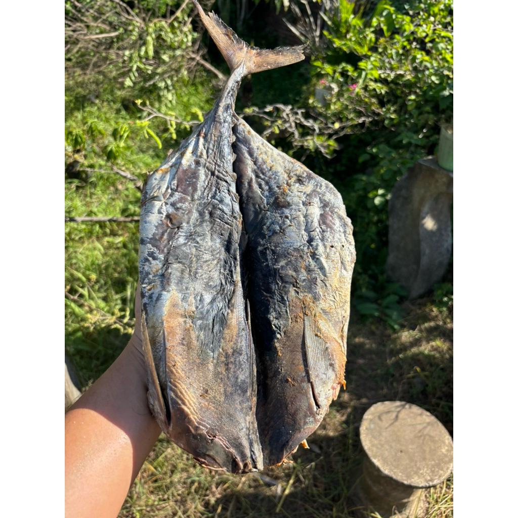 

Ikan Asin Tongkol Daging 250gr