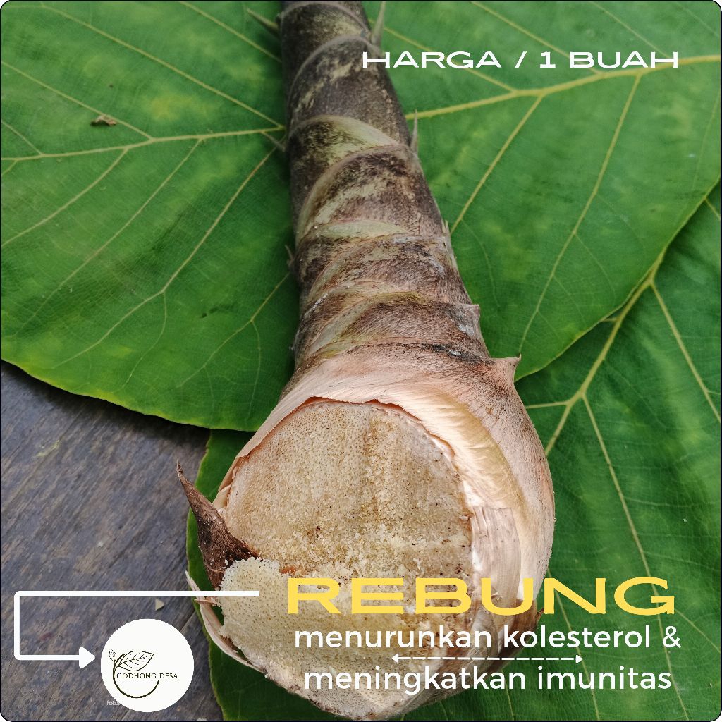 

REBUNG BAMBU [ 1kg ] buat sayur dan tumis