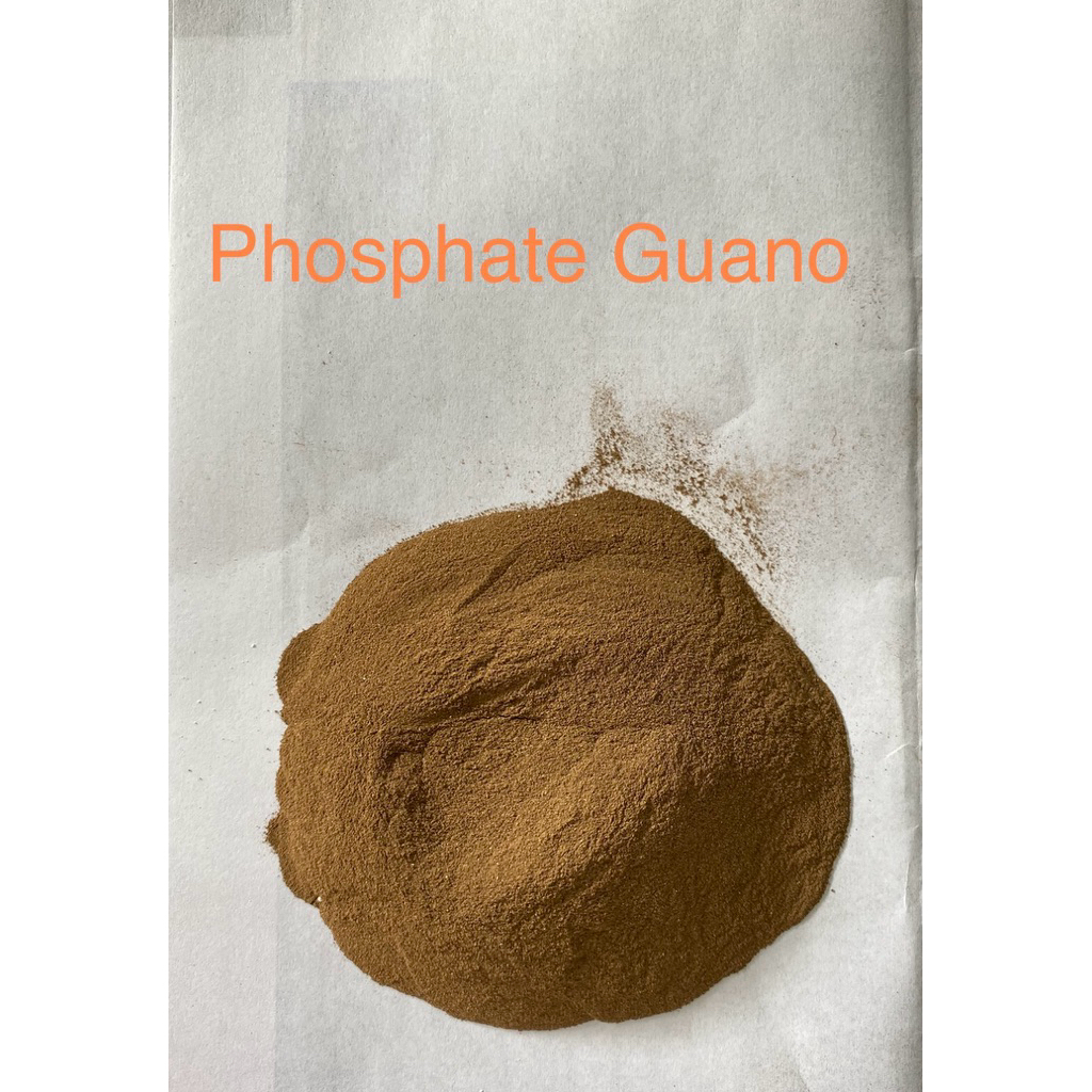 Pupuk Phosphate Guano (1 KG) : bagus utk Rumput, Penguat Akar & Batang