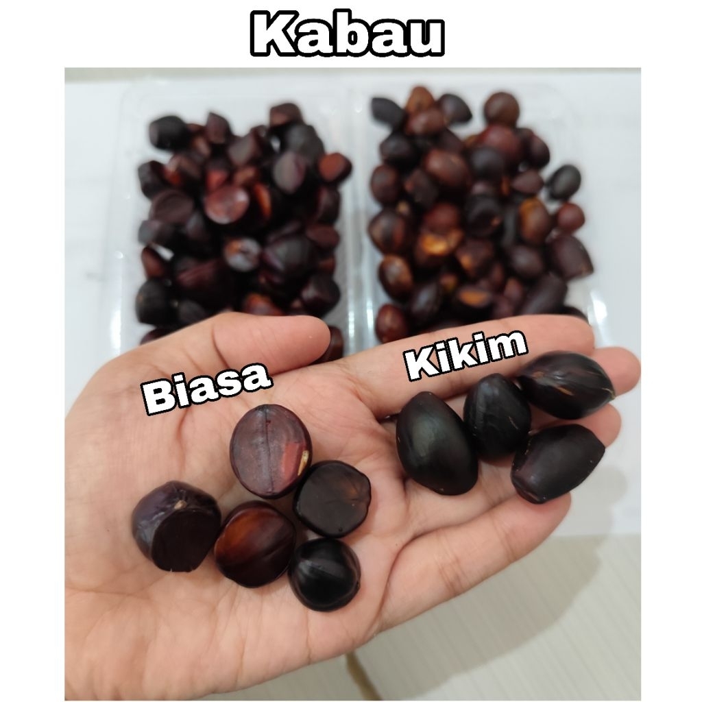 

Kabau jolang jaling jengkol sumatera kuwaw