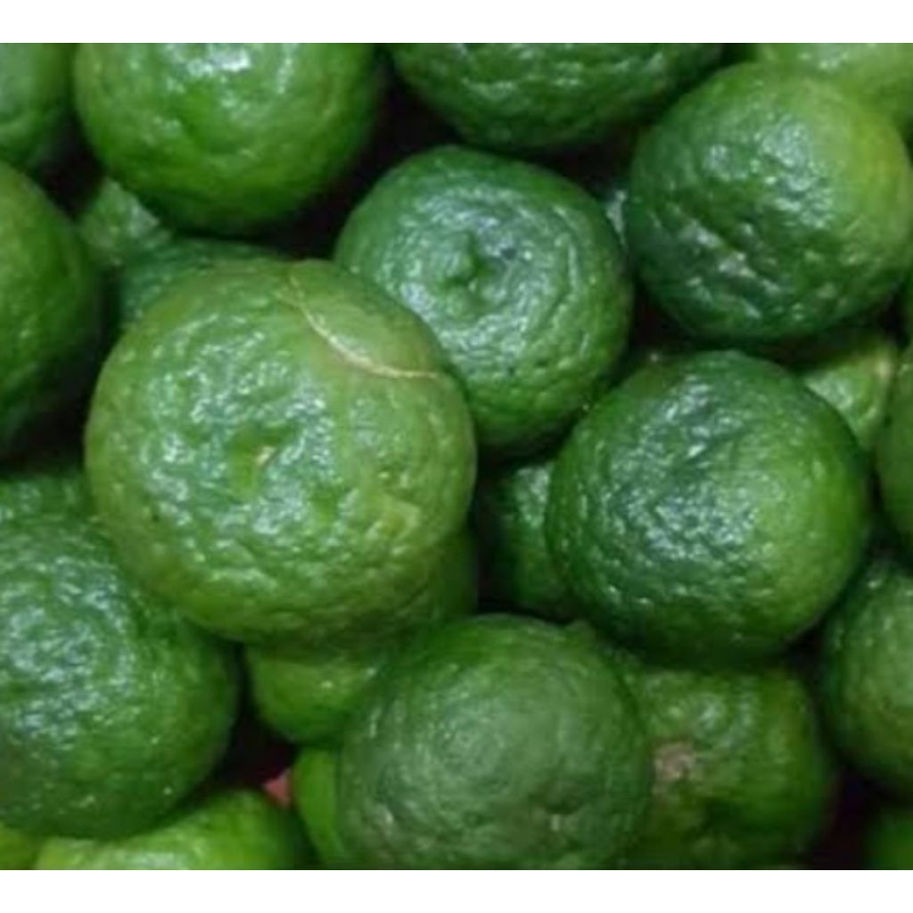 

Jual jeruk limauw segar petik langsung kuwalitas bagus 1 kg