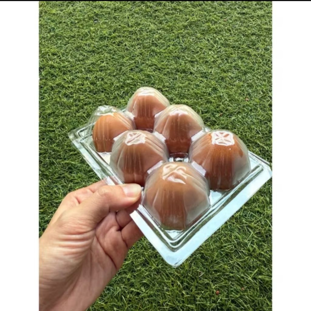 

telur omega 3/ telur organik 6 butir