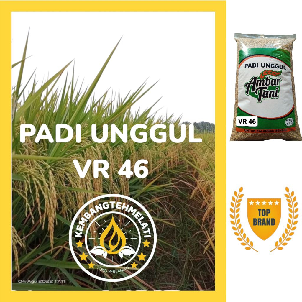Bibit Padi Benih Padi VR 46 ORIGINAL Produk Kemasan 5KG