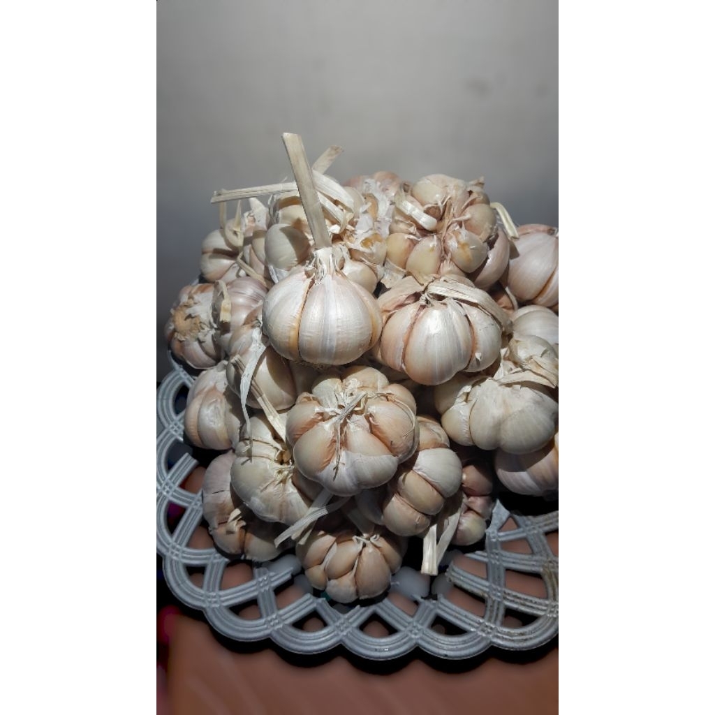

bawang putih sinco premium fresh 1kg (1000gr)