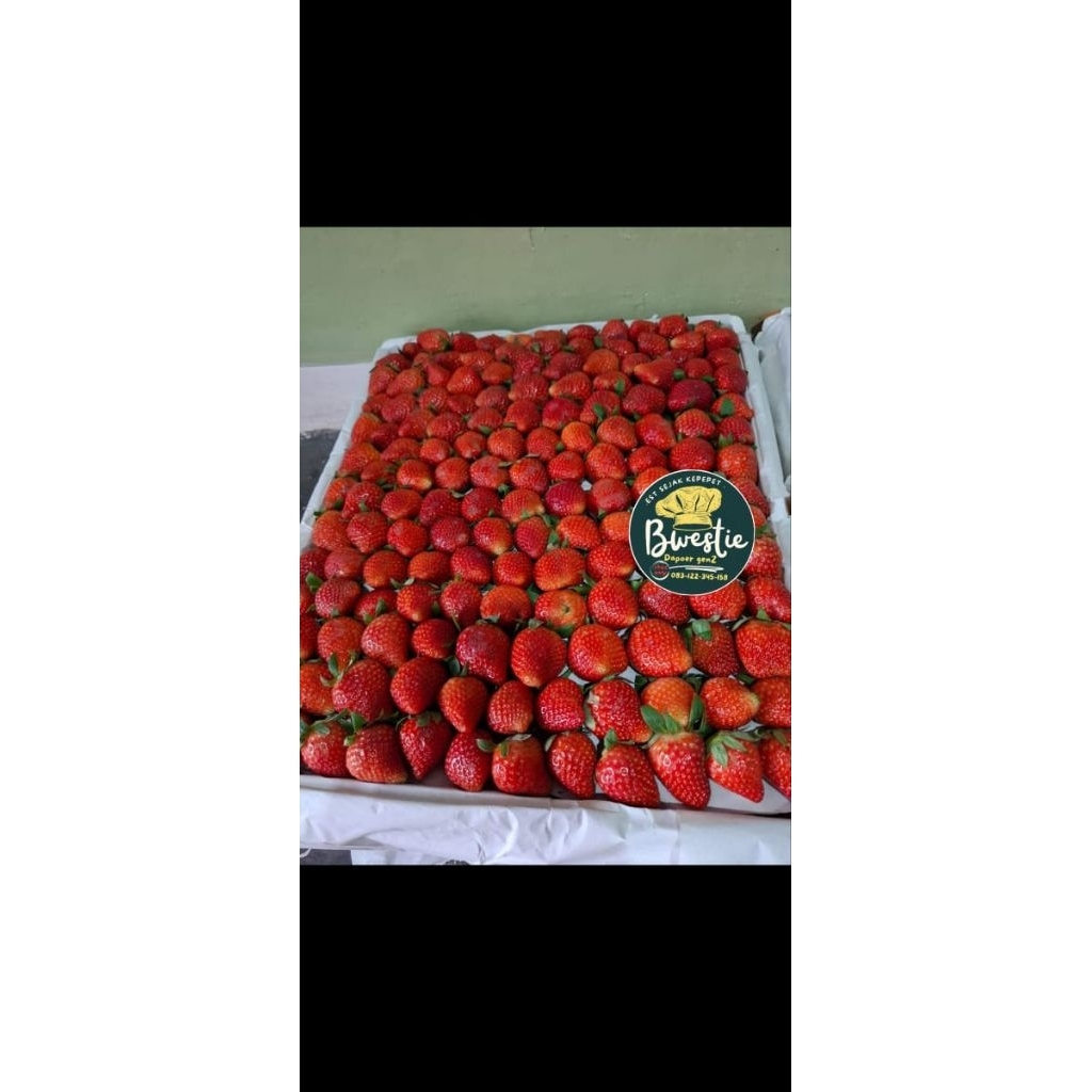 

Strawberry Fresh AB, BC 250Gram (KHUSUS JATIM)