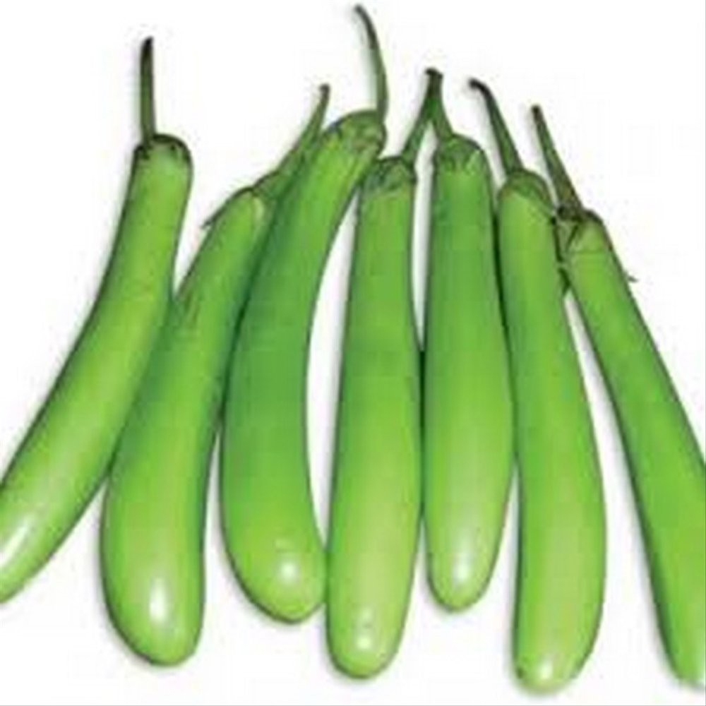 

Terong hijau 500 gram