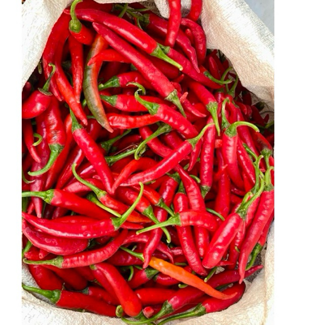 

CABE MERAH BESAR 1kg Cabe Merah Besar Imperial Super 1 Kg Cabe Teropong | Cabai Merah Besar Fresh 1kg CABE MERAH BESAR TW 1Kg CABE MERAH BESAR 1000 gr