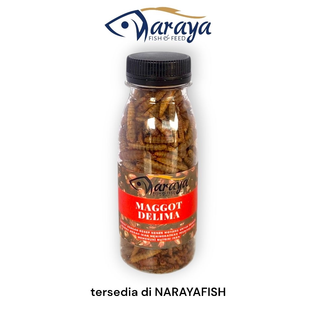 maggot merah maggot red booster pakan ikan hias pakan ikan predator pakan ikan channa oscar arwana c