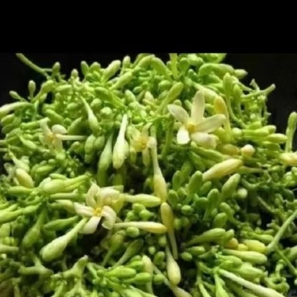 

kembang paya 500 gr