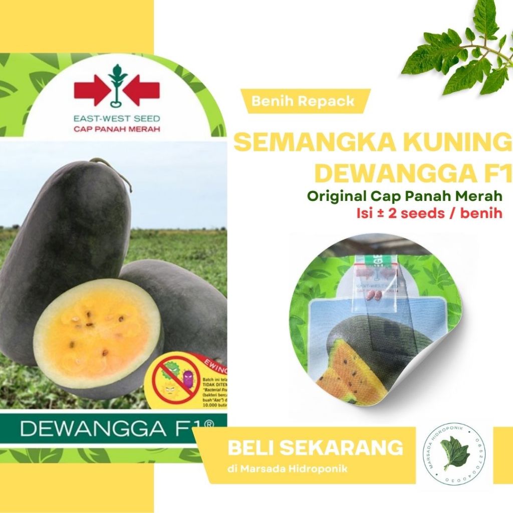 Bibit atau Benih Semangka Kuning Dewangga F1 Kemasan Repack