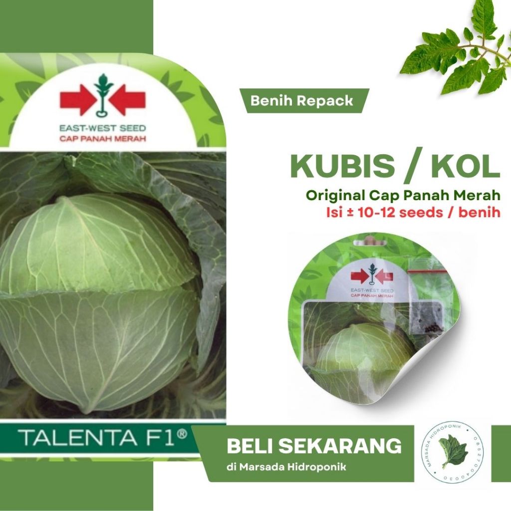 Benih Bibit Kubis atau Kol Putih Dataran Rendah Sehati F1 Cap Panah Merah Kemasan Repack isi 10 Seed
