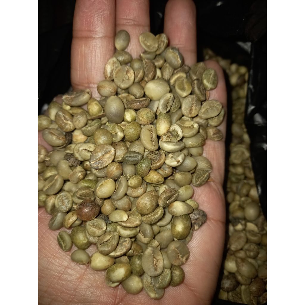 

BIJI KOPI/GREEN BEEN KOPI ROBUSTA BIJI KECIL ASALAN
