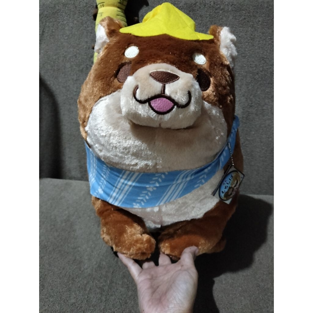 Shiba topi sk japan