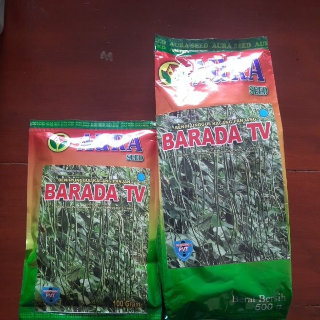 

kacang panjang aura BARADA TV