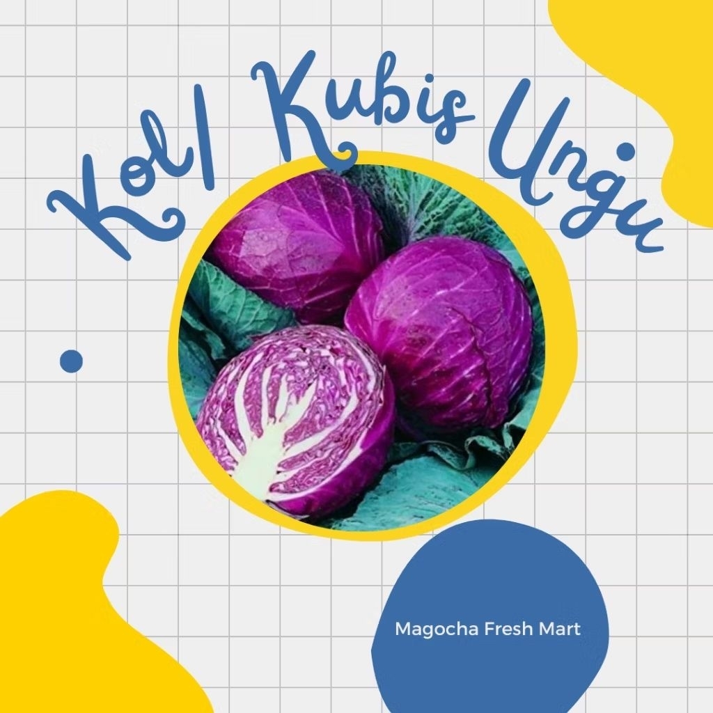

1 KG FRESH KOL UNGU / KOBIS UNGU